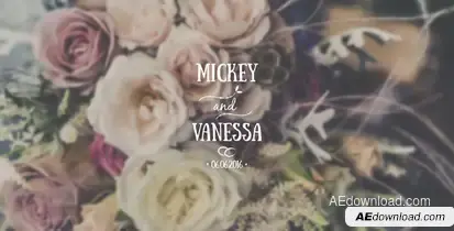 Wedding Titles Pack Video Displays template preview
