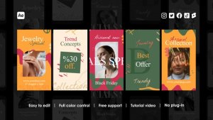 Videohive Boho Instagram Reels Product Promo template preview