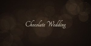 Videohive Chocolate Wedding Video Displays template preview
