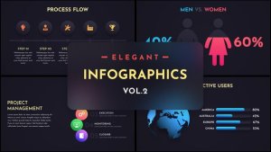 Videohive Elegant Infographics Vol.2 Infographics template preview
