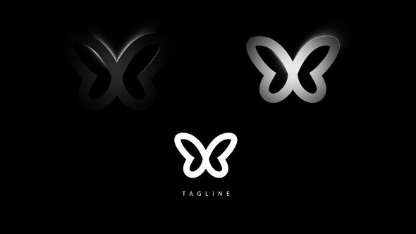 Videohive Logo Reveal 2 47310962 Logo Stings template preview