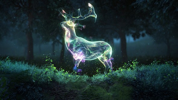 Videohive Magic Nature Particles Logo Logo Stings template preview