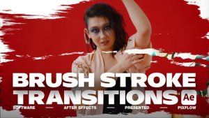 Videohive Brush Stroke Transitions V.4 For After Effects Elements template preview