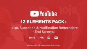 Youtuber Subscribe Reminder & End Screens Video Displays template preview