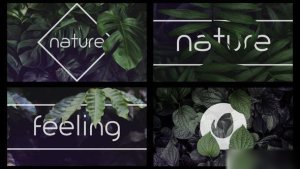Videohive Nature Logo Intro Openers template preview