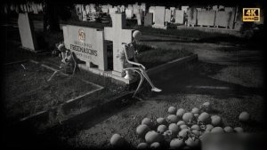 Videohive Skull and Bones - Scary Halloween Opener Openers template preview