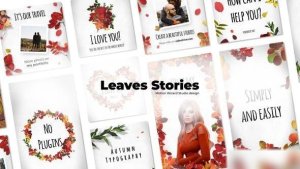 Videohive Leaves Stories Openers template preview