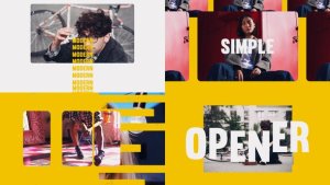Videohive Style Intro and Fashion Openers template preview