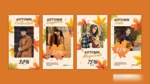 Videohive Autumn Instagram Story 54348327 Openers template preview
