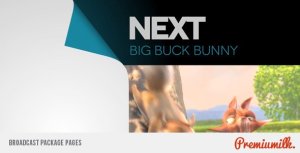 Broadcast Package Pages Video Displays template preview