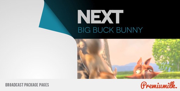 Broadcast Package Pages Video Displays template preview