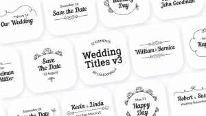 Videohive Wedding Titles v3 Titles template preview