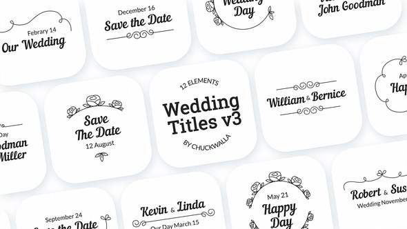 Videohive Wedding Titles v3 Titles template preview