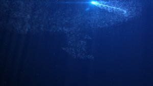Videohive Underwater Logo v2 Logo Stings template preview