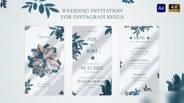 Videohive Wedding Invitation for Instagram Reel Openers template preview