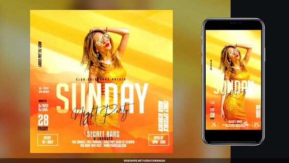 Videohive Night Club Flyer v28 Openers template preview