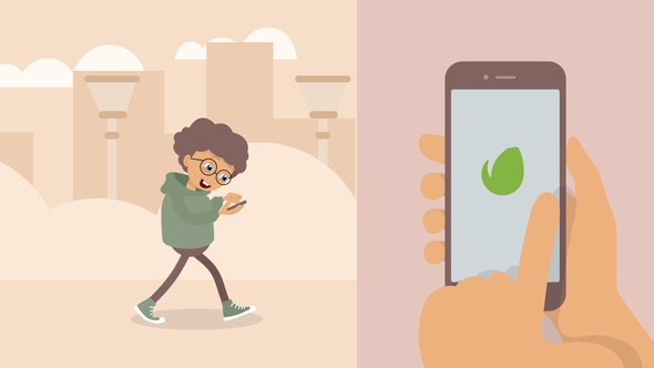 App Presentation Video Displays template preview