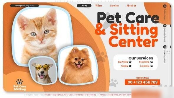 Videohive Pet Care and Sitting Center Openers template preview