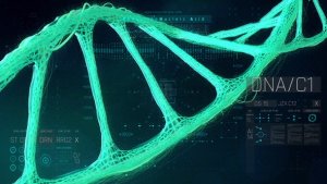 Videohive HUD Medical DNA2 Elements template preview