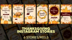Videohive Thanksgiving Instagram Stories 60698954 Openers template preview