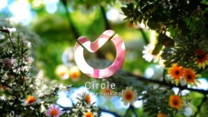 Videohive Summer Tries Logo 3 Logo Stings template preview