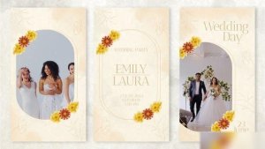 Videohive Wedding Stories Instagram 51709248 Openers template preview