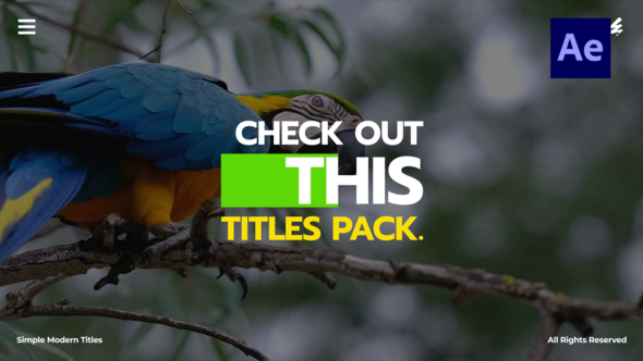 Videohive Simple Modern Titles /Ae Titles template preview