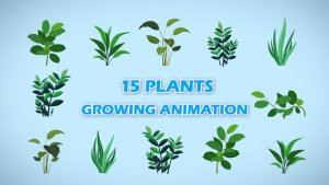 Videohive 15 Growing Plants Animation Pack Elements template preview