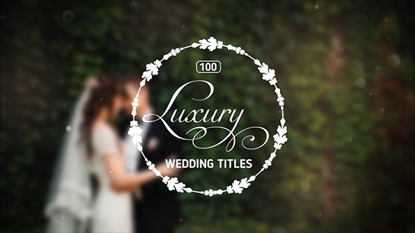 100 Luxury Wedding Titles Video Displays template preview