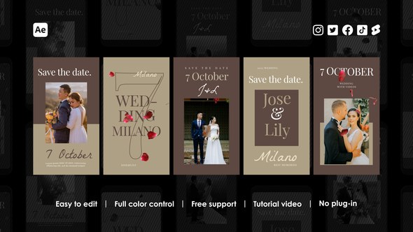 Videohive Invitation Instagram Reels 46642859 Product Promo template preview