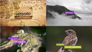 Videohive Minimal Showcase - Image/Video Video Displays template preview