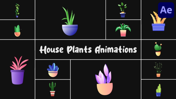 Videohive House Plants Animations for After Effects Openers template preview