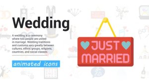 Videohive Wedding Icons 57428897 Elements template preview