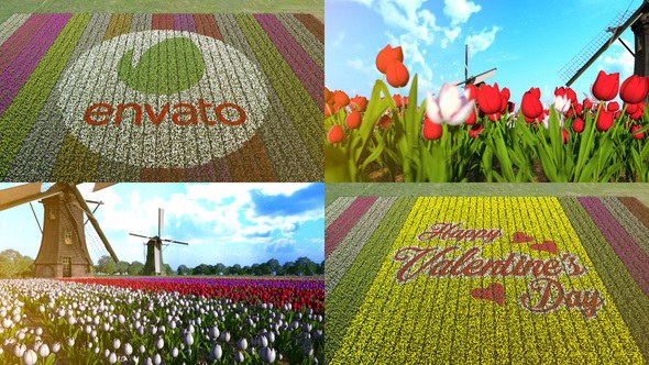 Videohive Flower Field Logo Stings template preview