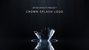 Videohive Water Splash Logo Stings template preview