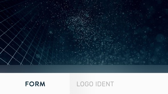 Videohive Form - Logo Ident Logo Stings template preview