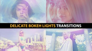 Videohive Delicate Bokeh Lights Transitions | After Effects Elements template preview