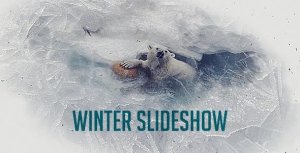 Winter Project Slideshow Video Displays template preview