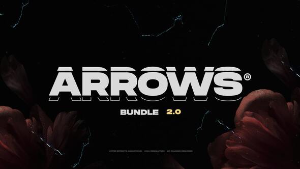 Videohive Arrows 44180380 Elements template preview