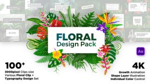 Floral Design Pack Video Displays template preview
