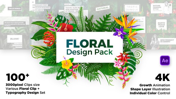 Floral Design Pack Video Displays template preview