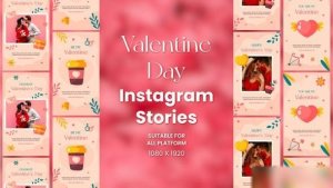 Videohive Valentine's Day Instagram Stories Openers template preview