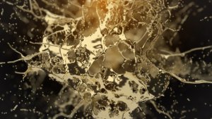 Videohive Golden Splash Logo Reveal Logo Stings template preview
