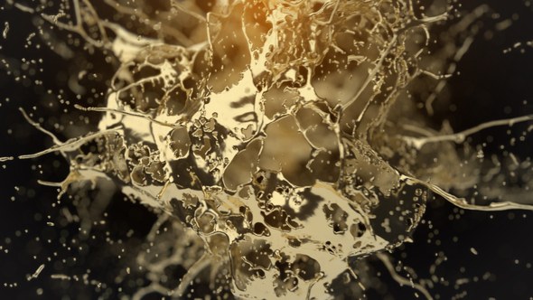 Videohive Golden Splash Logo Reveal Logo Stings template preview