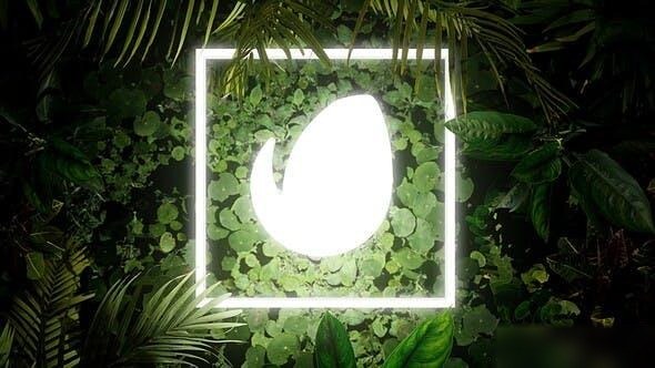 Videohive Lighting Nature Logo Logo Stings template preview
