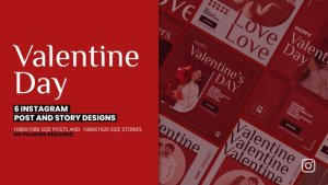 Videohive Valentine's Day Instagram Posts And Stories Promotion Product Promo template preview