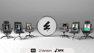 Videohive Team Logo Logo Stings template preview