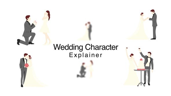 Videohive Wedding Character Explainer Elements template preview