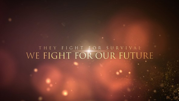 Cinematic Trailer Titles - After Effects Project (Videohive) Titles template preview