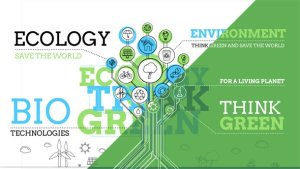 Ecology Infographics Video Displays template preview